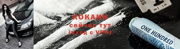 прущие грибы Белокуриха