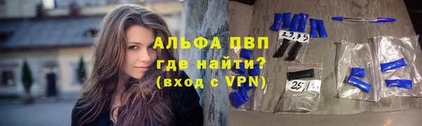 стаф Богородицк