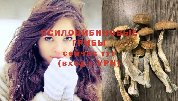 MDMA Premium VHQ Богородск