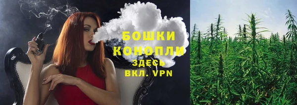 прущие грибы Белокуриха
