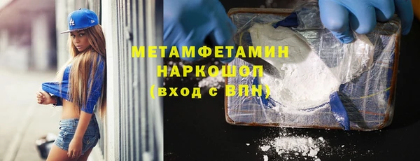 прущие грибы Белокуриха