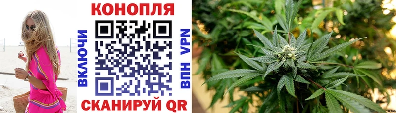 МЕГА tor  Бор  Бошки марихуана гибрид  закладки 